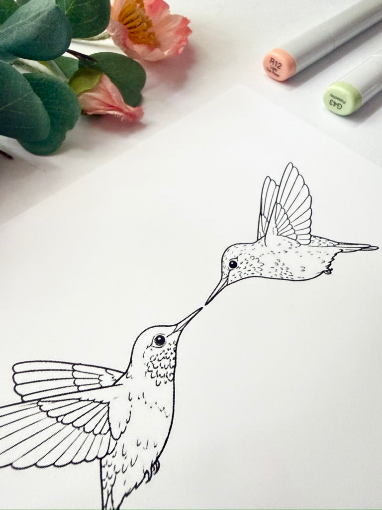 5x7 Color & Frame Sheet | Kissing Hummingbirds