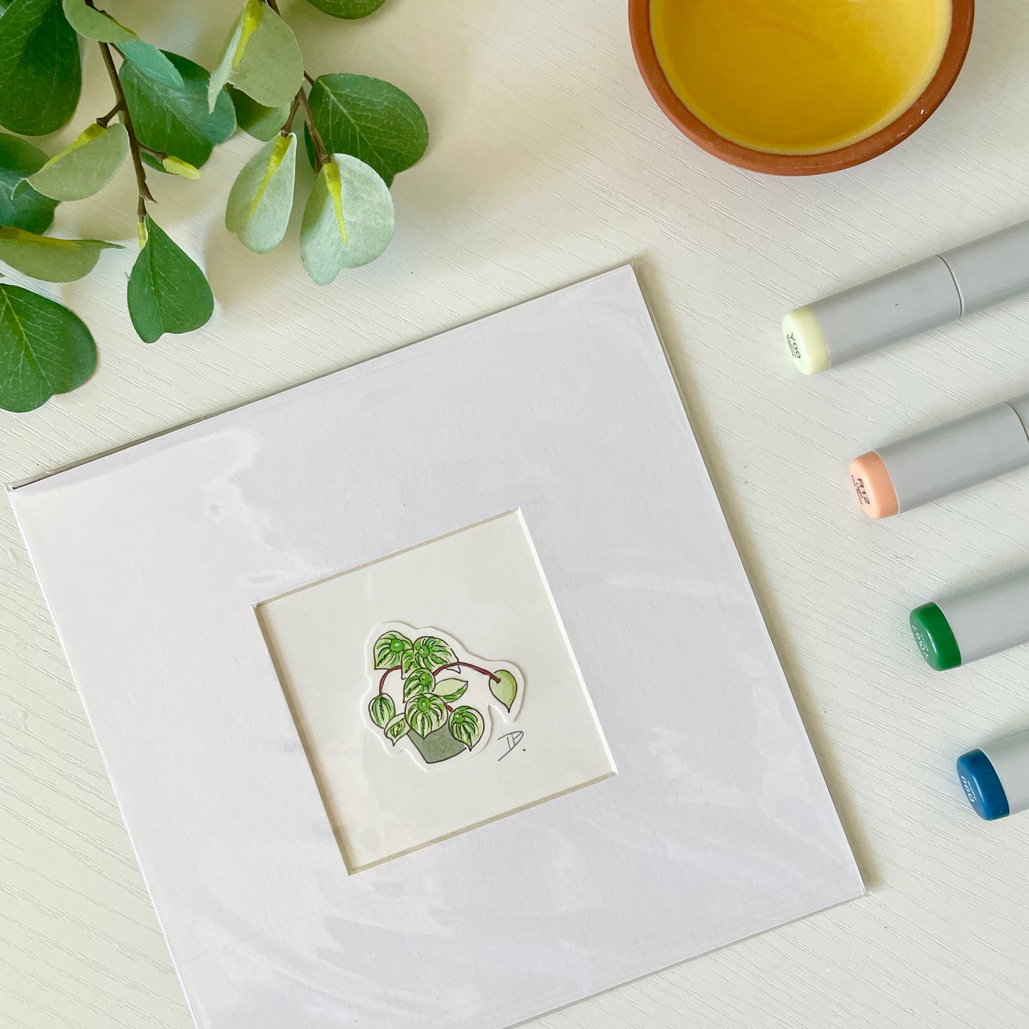 Peperomia Houseplant | 3x3 ORIGINAL with 6x6 Mat