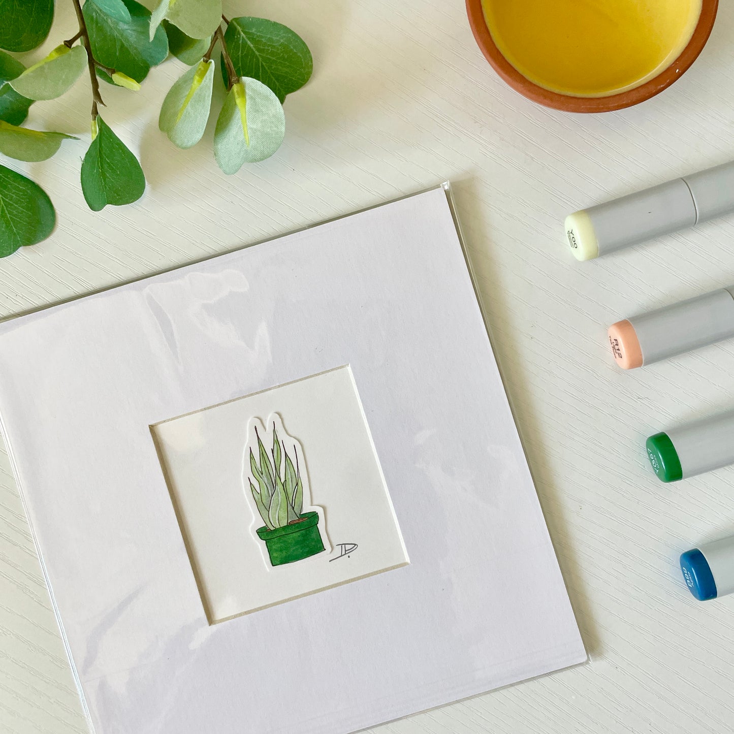 Sansevieria (Snake Plant) Houseplant | 3x3 ORIGINAL with 6x6 Mat