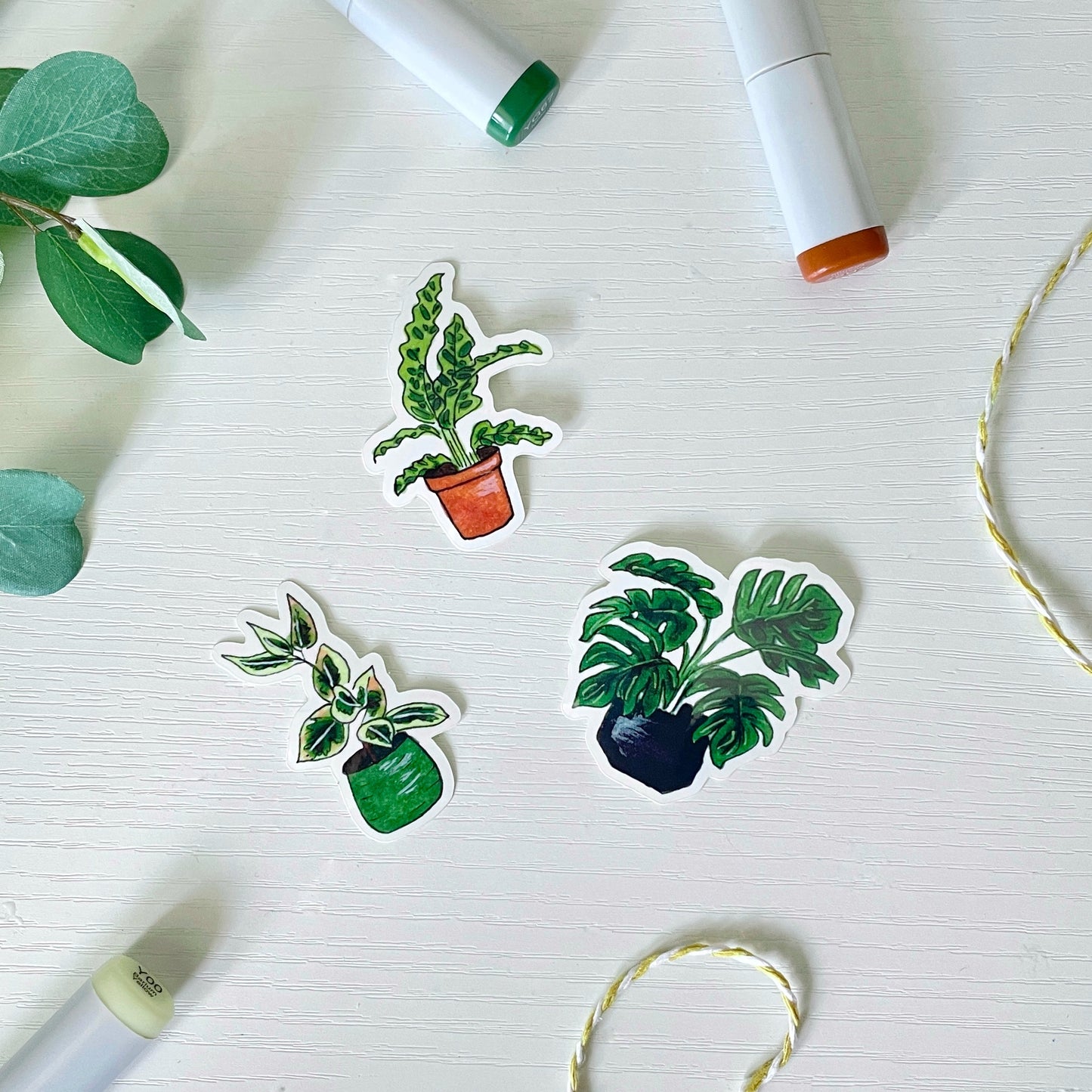 Hand-Illustrated Monstera Houseplant | 2" Vinyl Sticker