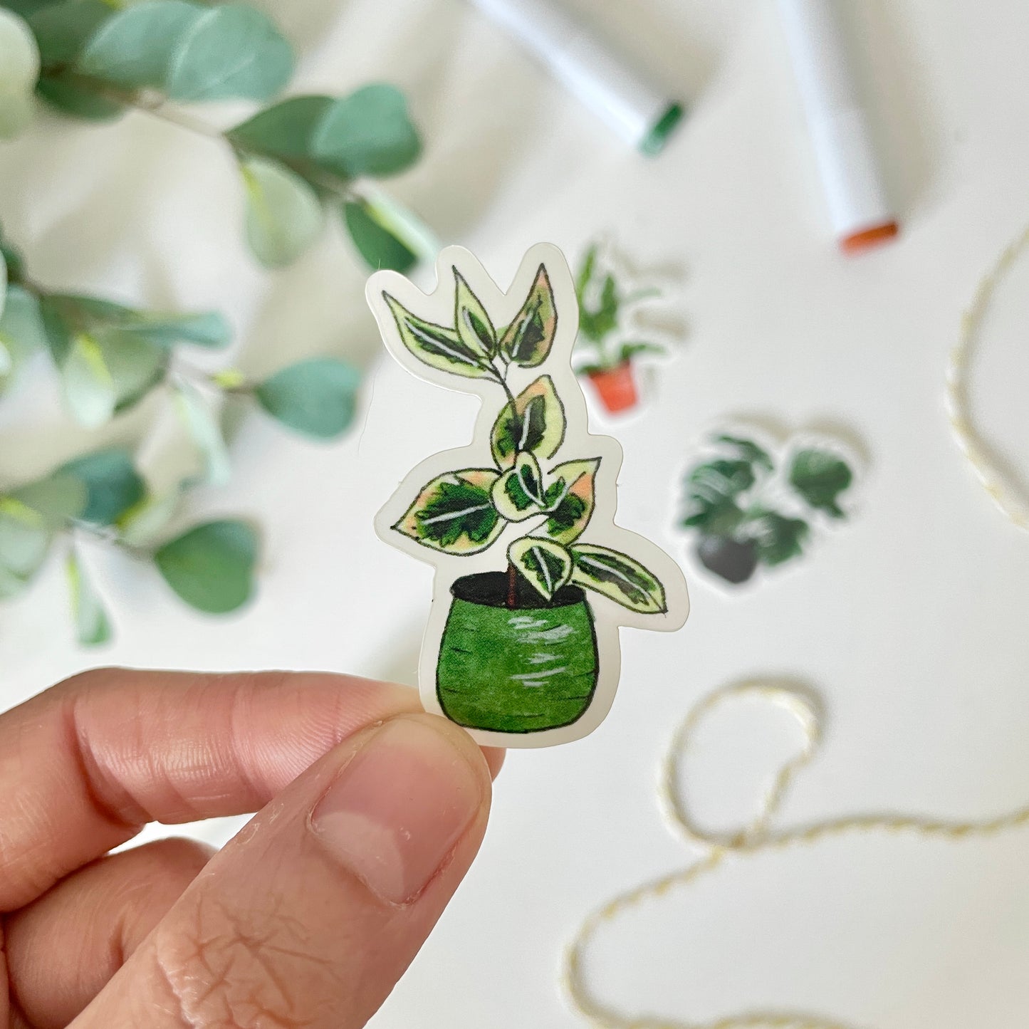 Hand-Illustrated Ficus Houseplant | 2" Vinyl Sticker