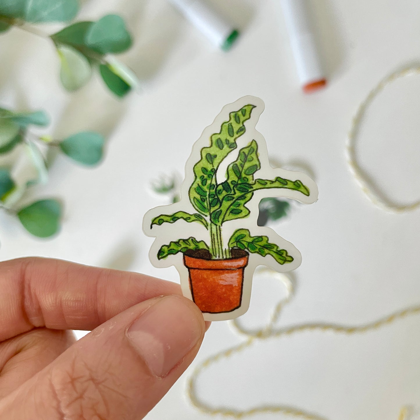Hand-Illustrated Calathea Houseplant | 2" Vinyl Sticker