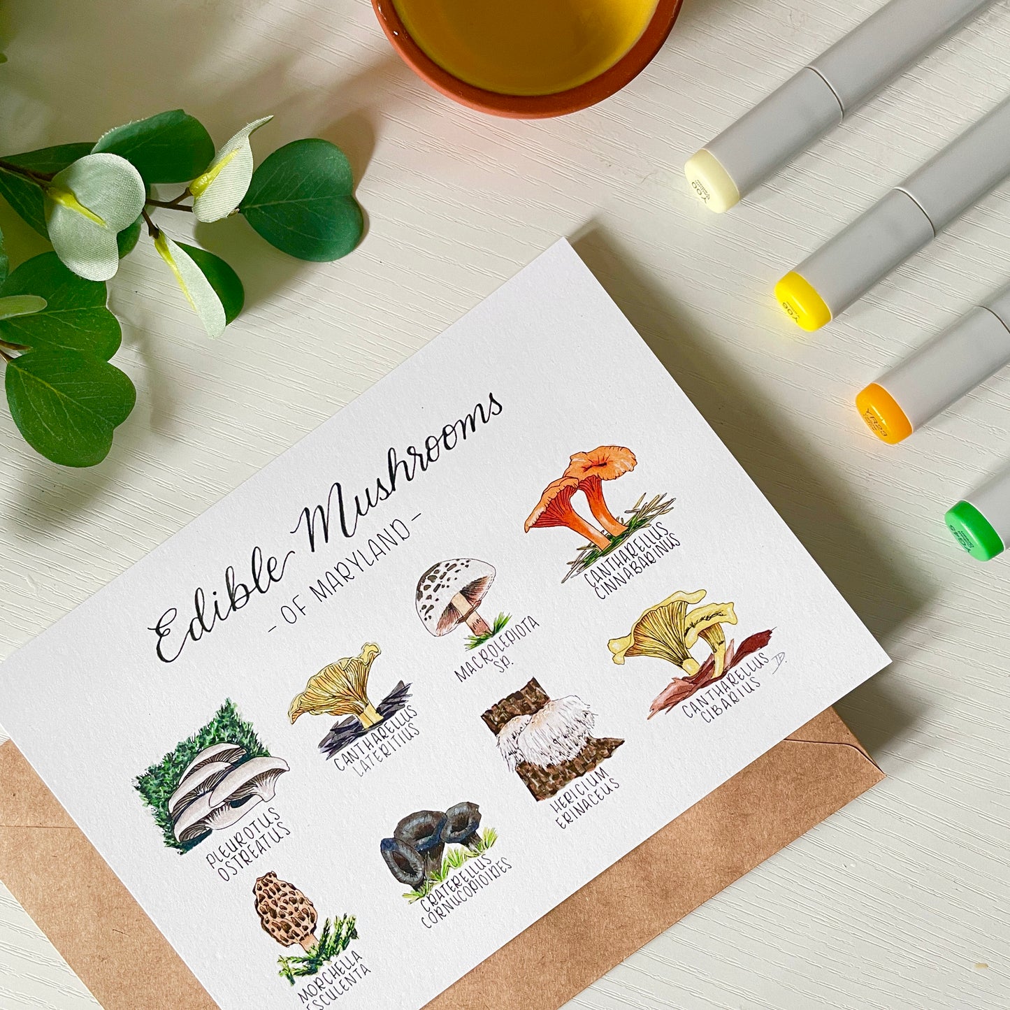 Edible Mushrooms of Maryland | Recycled Cardstock Print