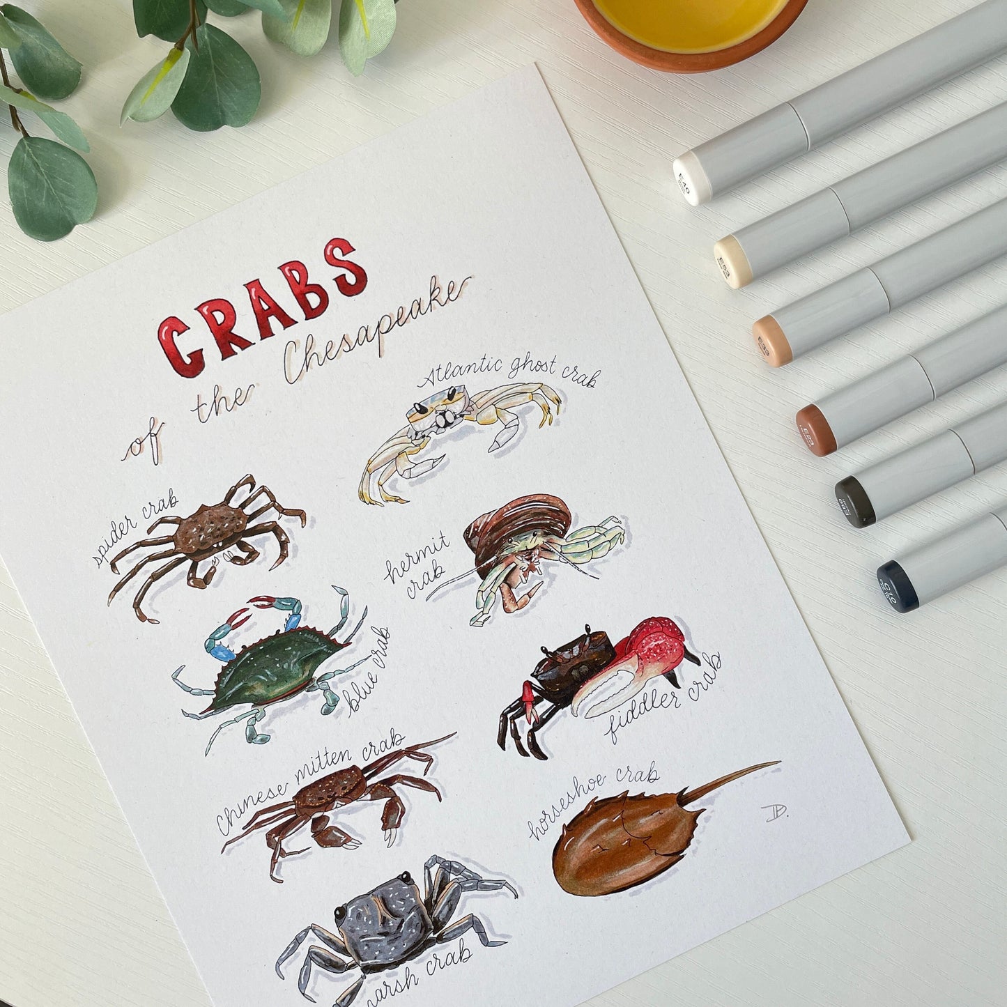 Crabs of the Chesapeake Bay | Recycled Cardstock Print