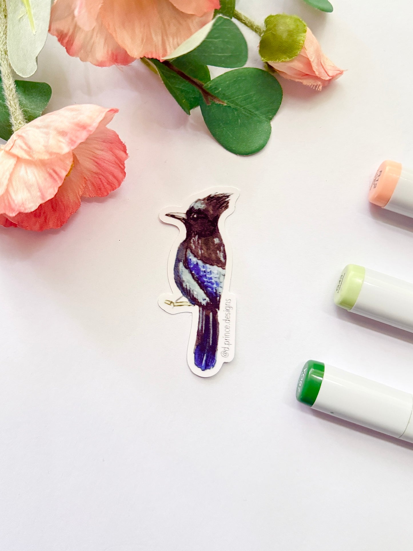 Hand-Illustrated Stellar Jay | 2" Vinyl Sticker