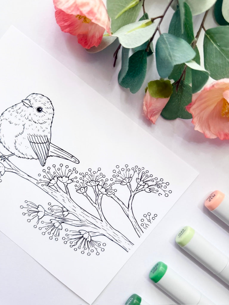 5x7 Color & Frame Sheet | Junco on Maple Branch