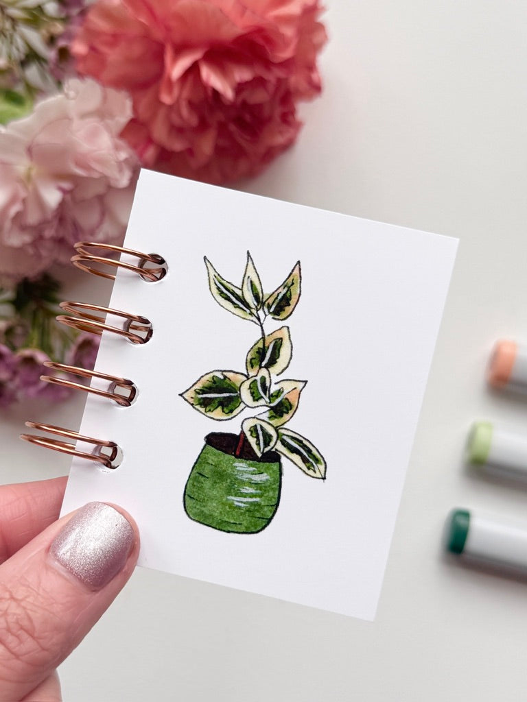 Hand-Illustrated + Handmade Mini Notebook/Sketchbook | Ficus Houseplant