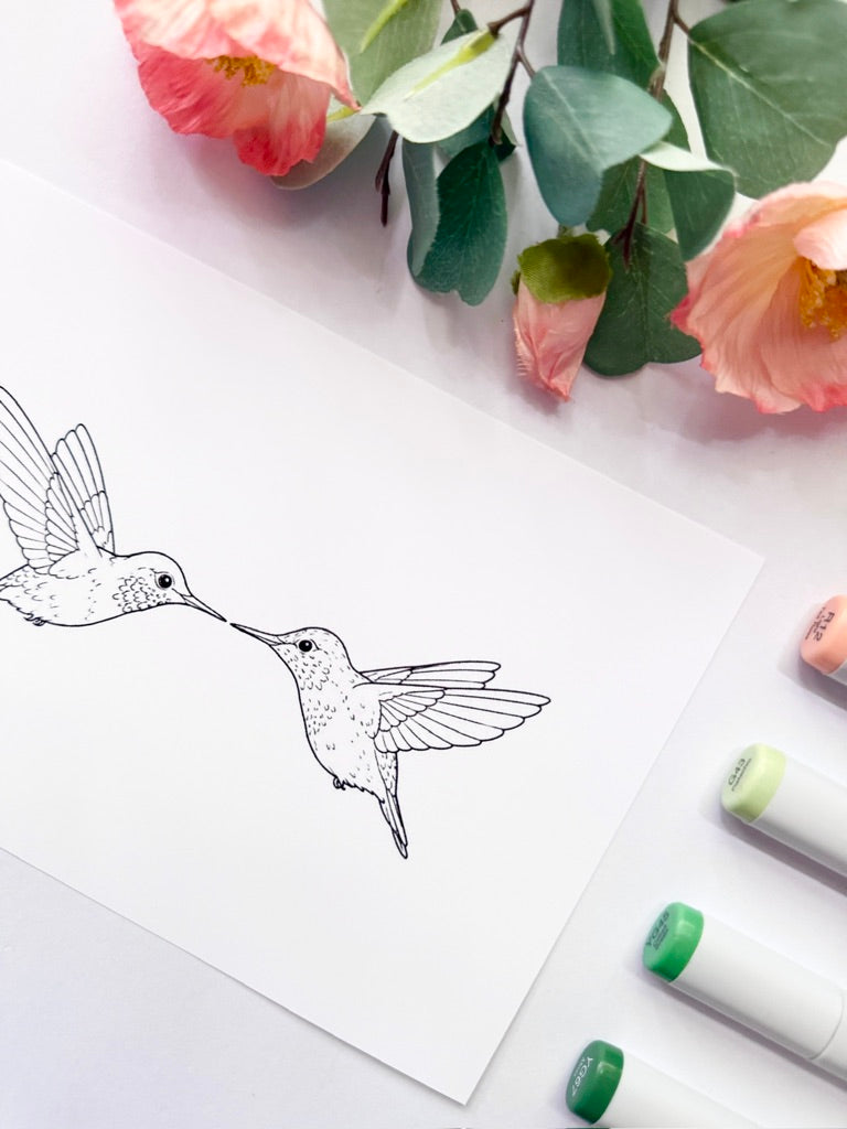 5x7 Color & Frame Sheet | Kissing Hummingbirds