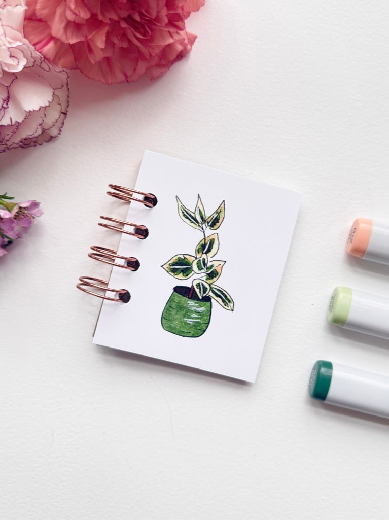 Hand-Illustrated + Handmade Mini Notebook/Sketchbook | Ficus Houseplant