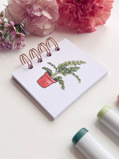 Hand-Illustrated + Handmade Mini Notebook/Sketchbook | Calathea Houseplant