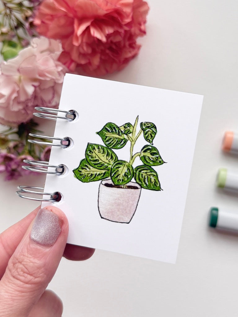 Hand-Illustrated + Handmade Mini Notebook/Sketchbook | Maranta Houseplant