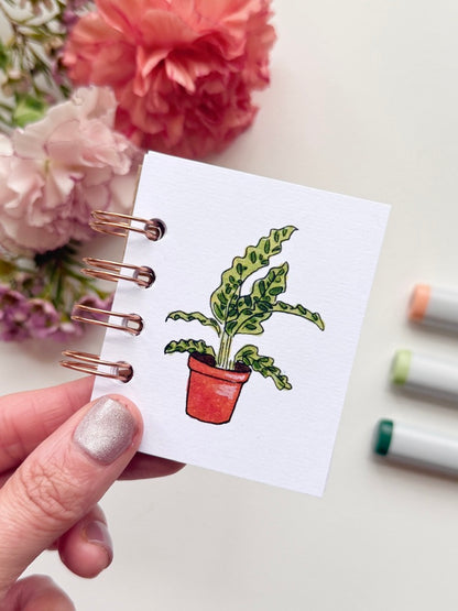 Hand-Illustrated + Handmade Mini Notebook/Sketchbook | Calathea Houseplant