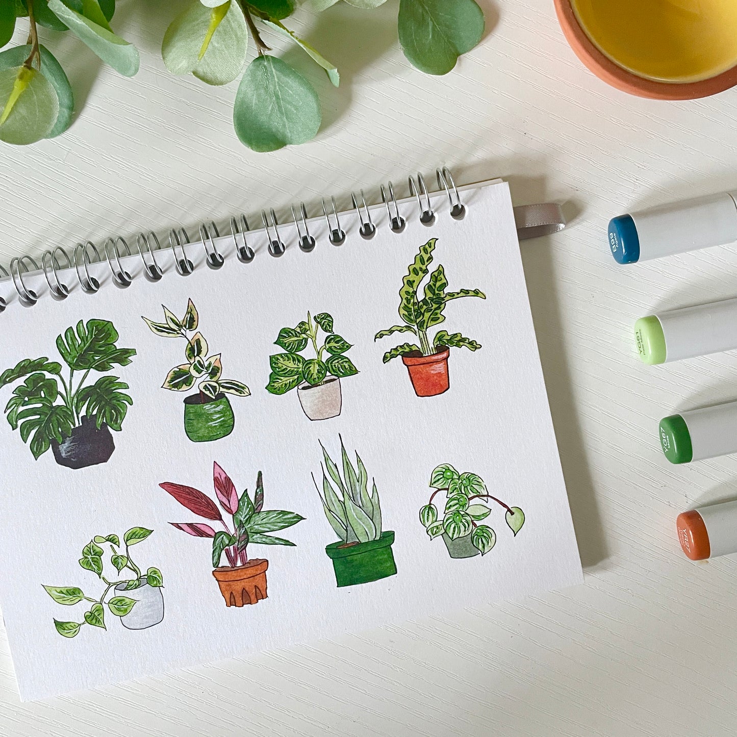 Hand-Illustrated Houseplants Notebook/Sketchbook