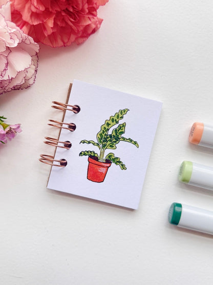 Hand-Illustrated + Handmade Mini Notebook/Sketchbook | Calathea Houseplant