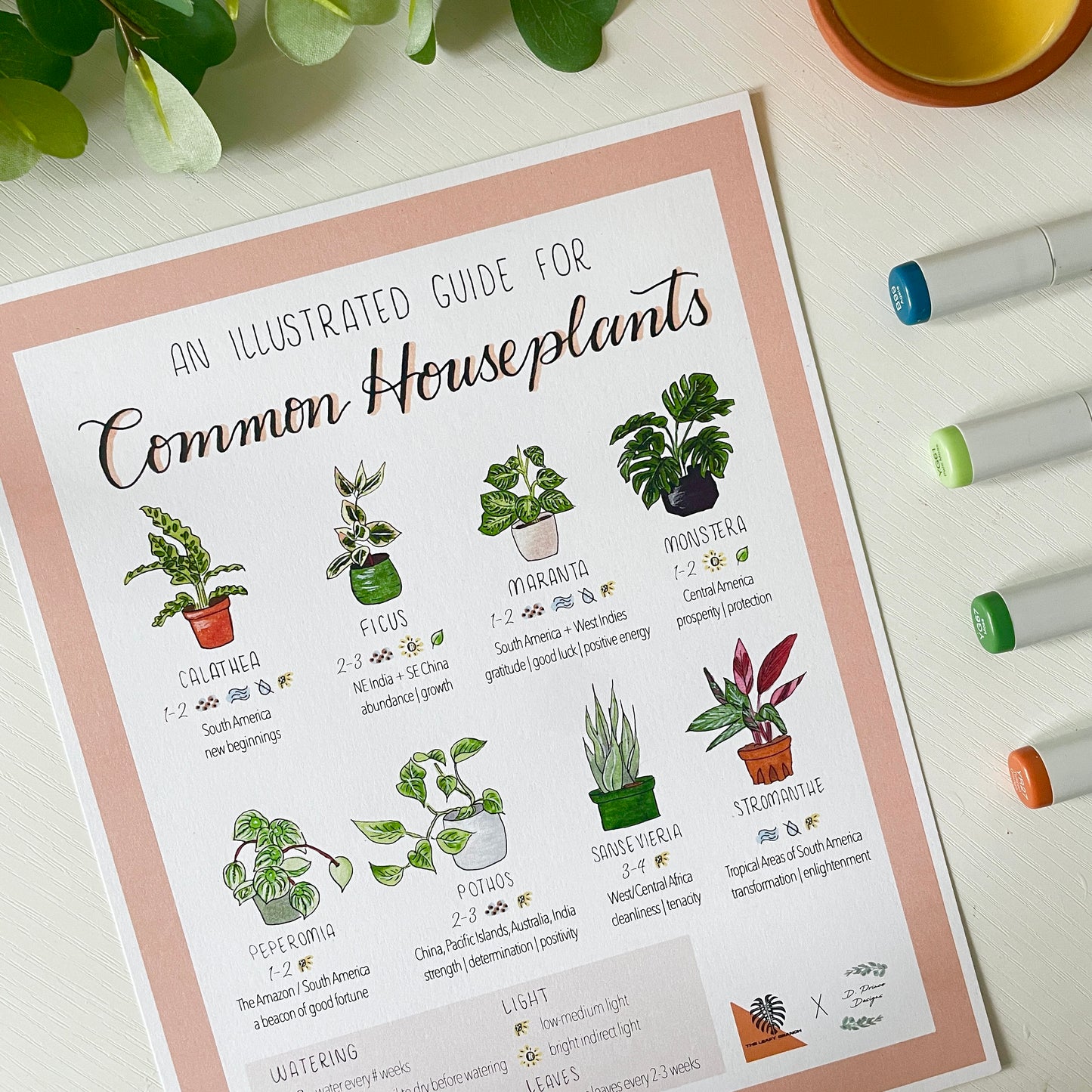 Illustrated Guide to Common Houseplants | Recycled Cardstock 8x10 Print