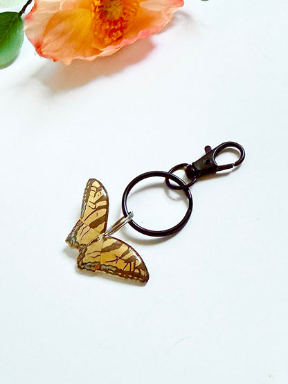 Hand-Illustrated Eastern Tiger Swallowtail Butterfly | Handmade Acrylic + Resin Keychain/Bag Charm