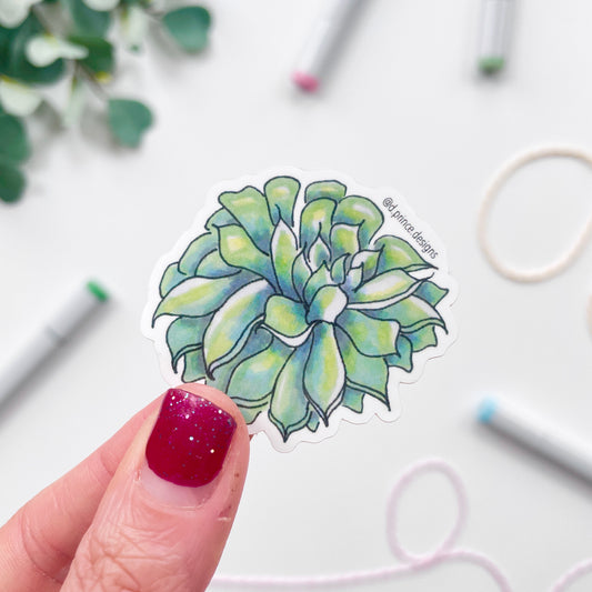 Hand-Illustrated Succulent | 2" Vinyl Sticker