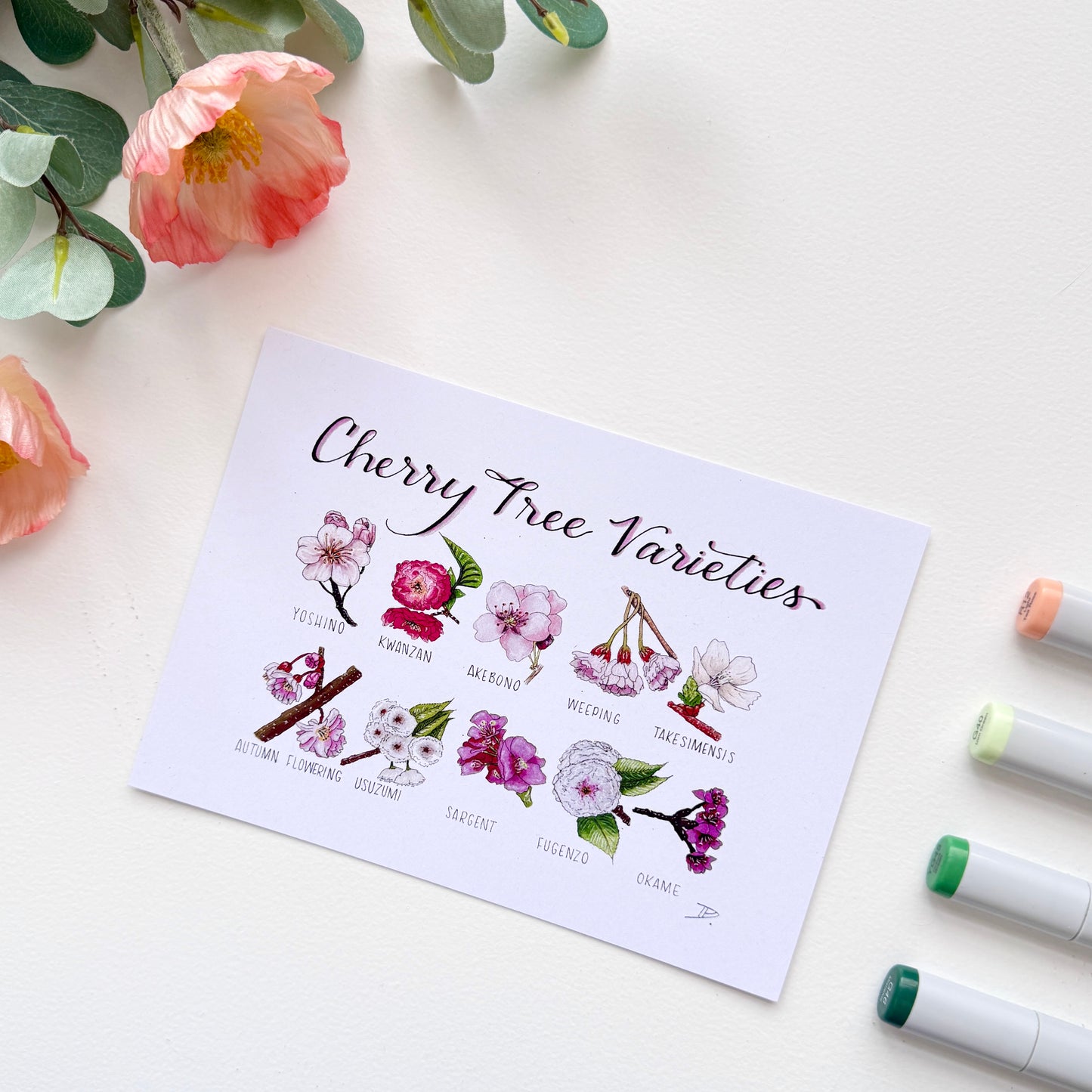 Cherry Blossom Varieties | Recycled Cardstock Print