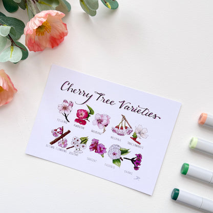 Cherry Blossom Varieties | Recycled Cardstock Print