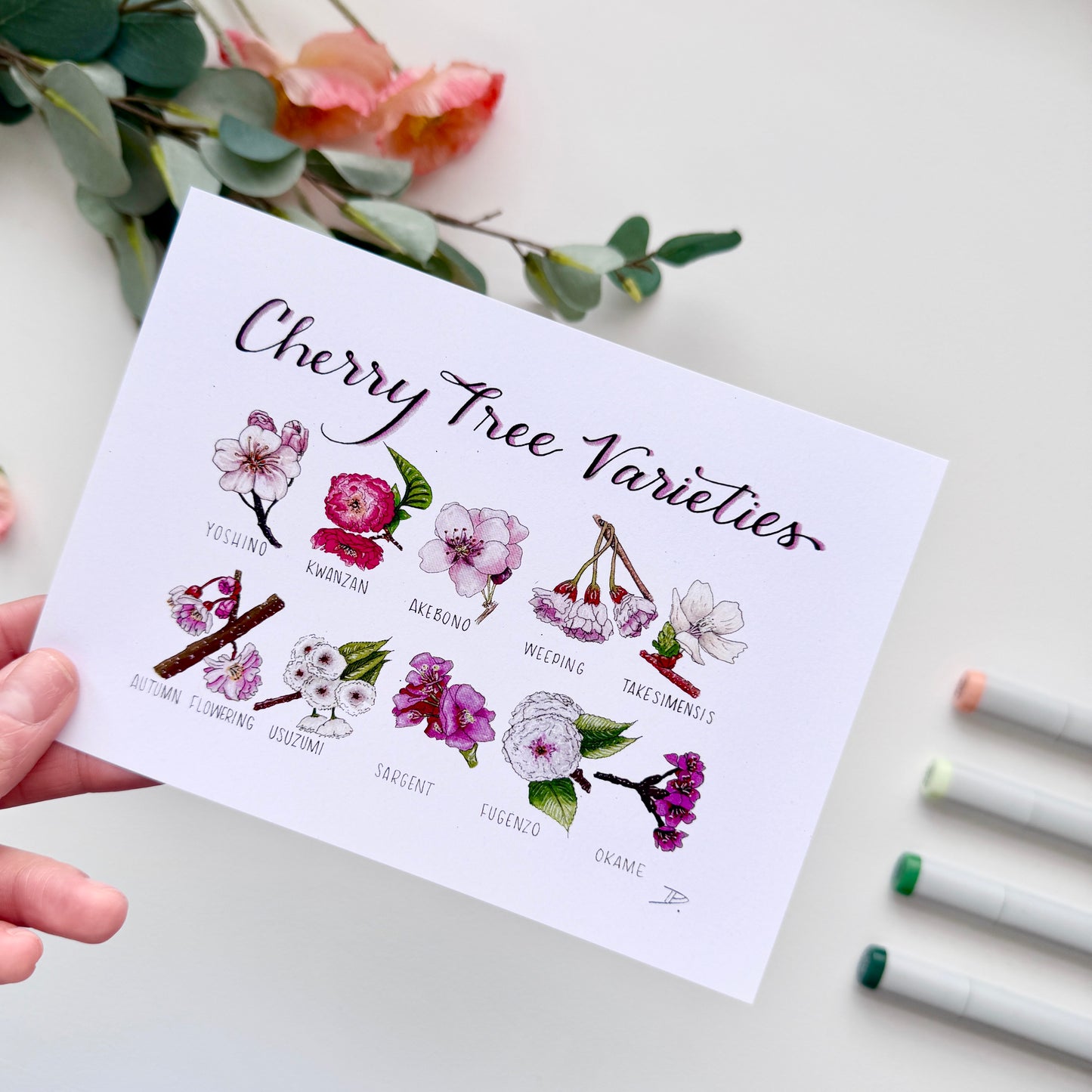 Cherry Blossom Varieties | Recycled Cardstock Print