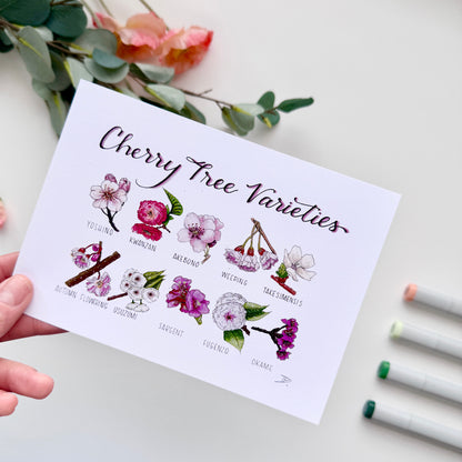 Cherry Blossom Varieties | Recycled Cardstock Print
