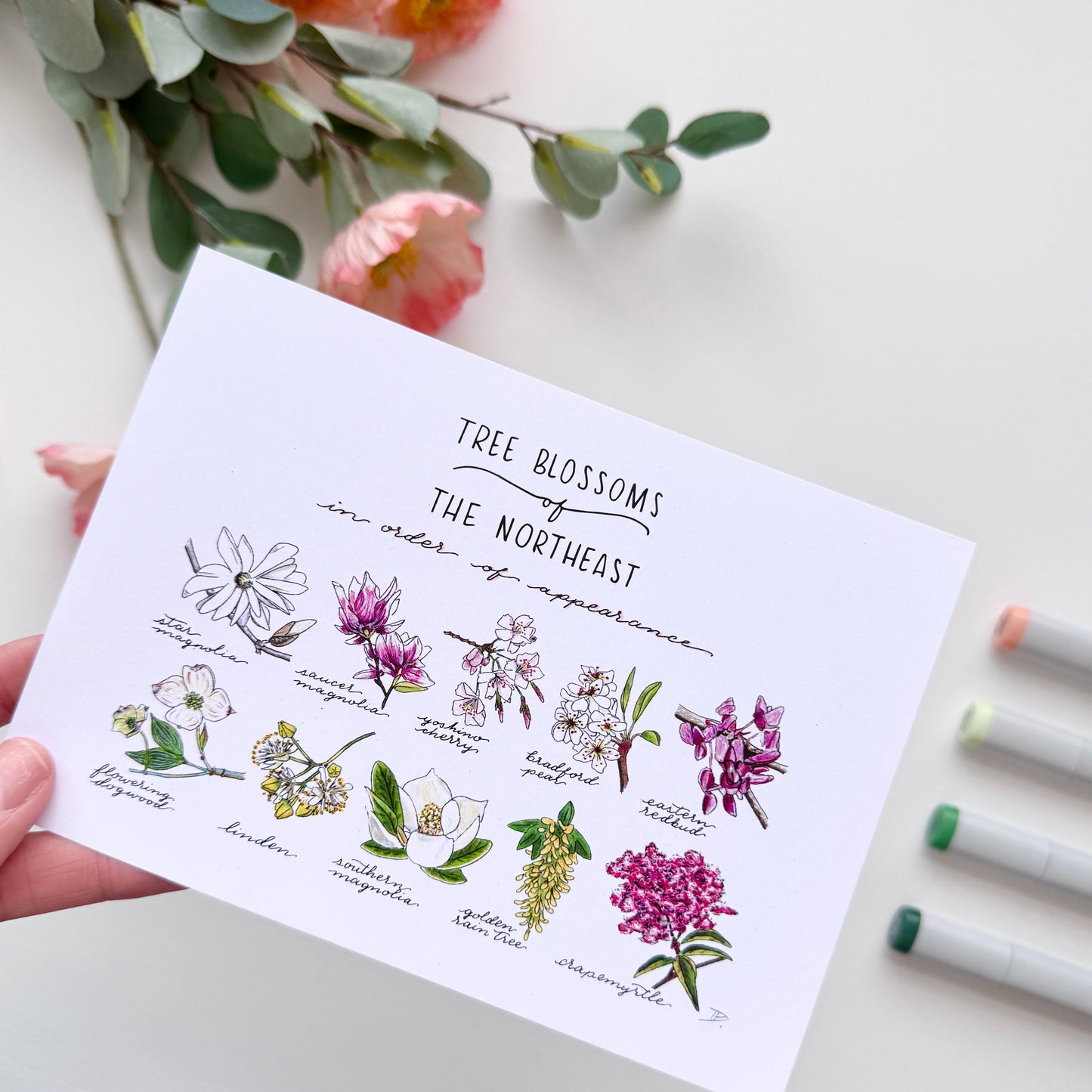 Tree Blossoms of the Northeast | Recycled Cardstock Print