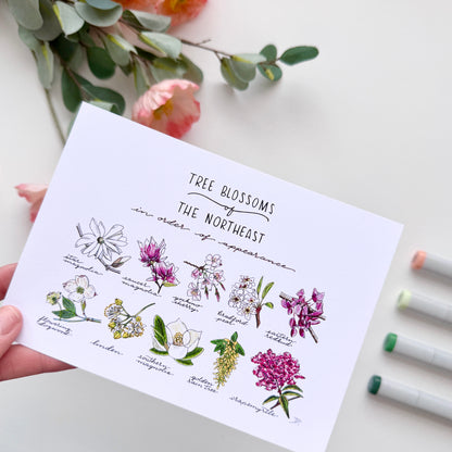 Tree Blossoms of the Northeast | Recycled Cardstock Print