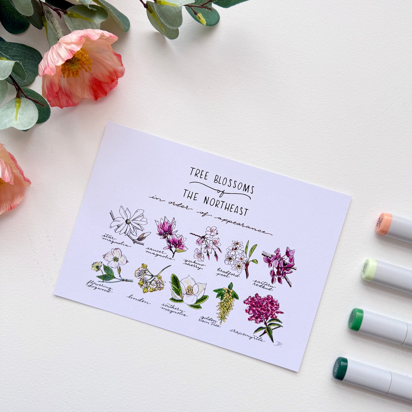 Tree Blossoms of the Northeast | Recycled Cardstock Print