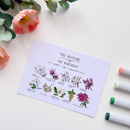 Tree Blossoms of the Northeast | Recycled Cardstock Print