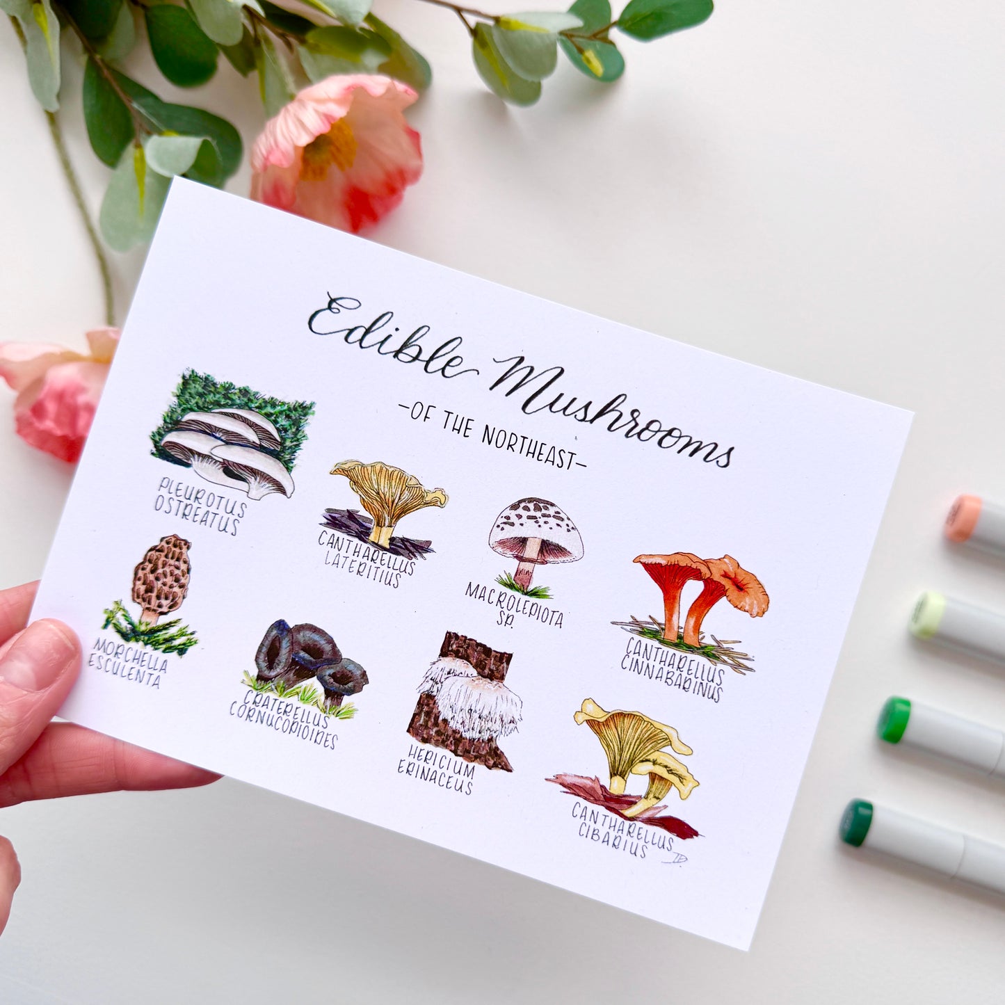 Edible Mushrooms of the Northeast | Recycled Cardstock Print