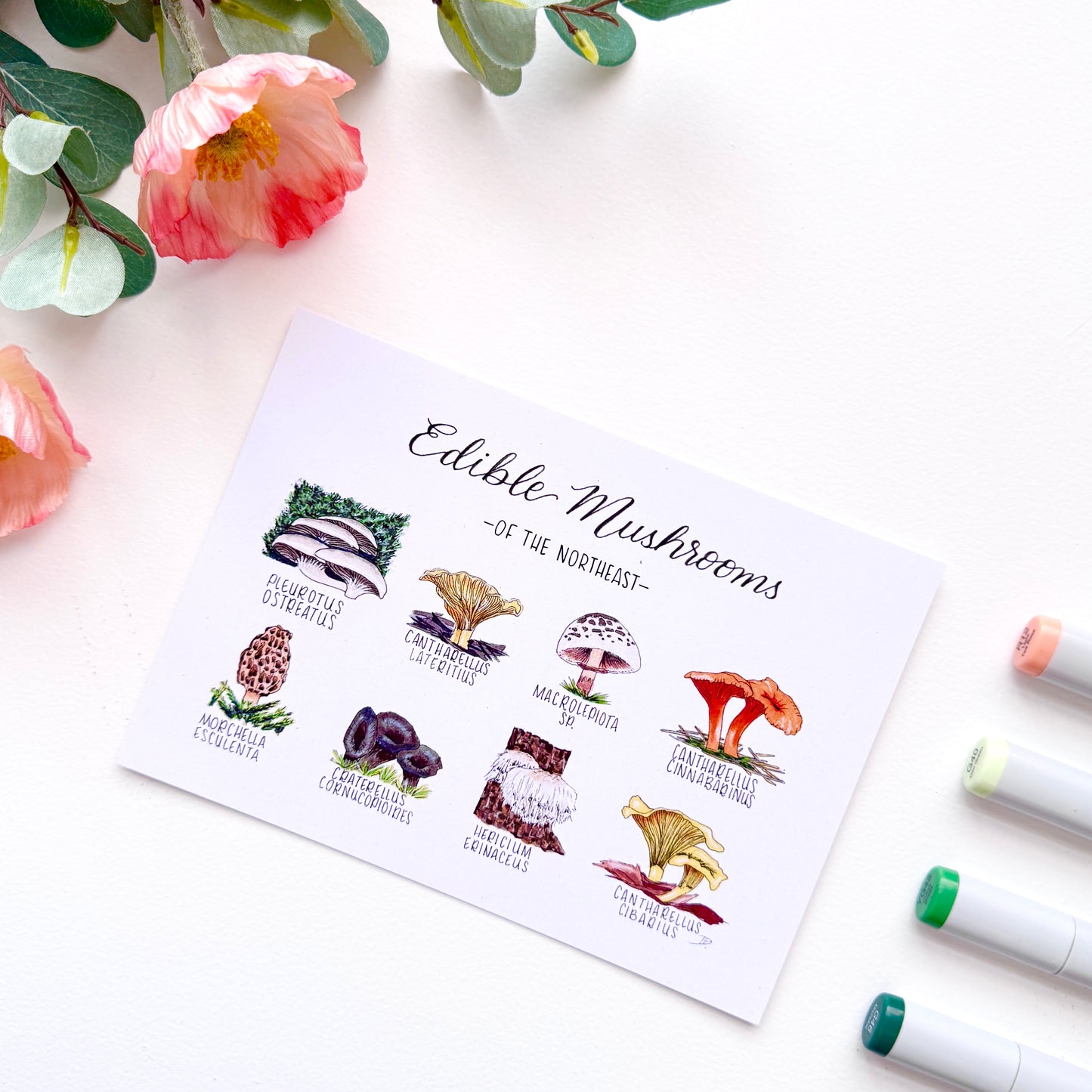 Edible Mushrooms of the Northeast | Recycled Cardstock Print