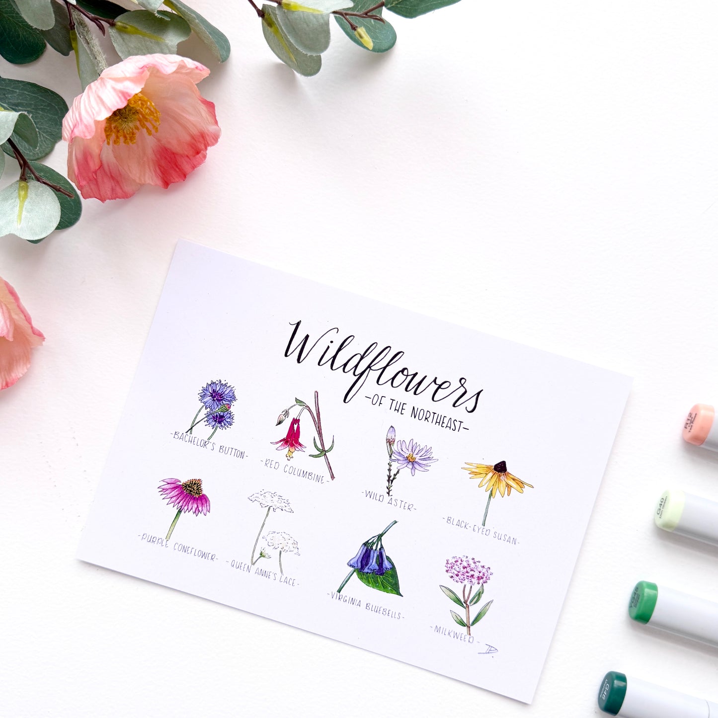 Wildflowers of the Northeast | Recycled Cardstock Print