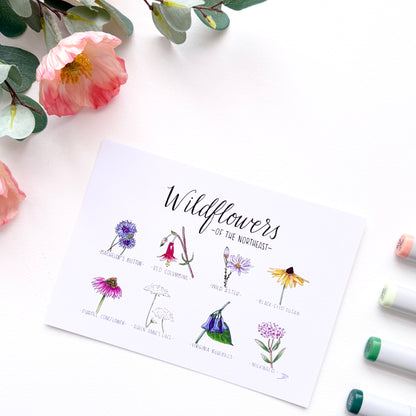 Wildflowers of the Northeast | Recycled Cardstock Print