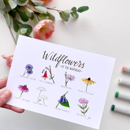 Wildflowers of the Northeast | Recycled Cardstock Print