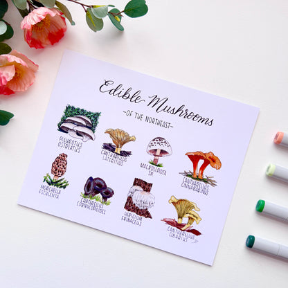 Edible Mushrooms of the Northeast | Recycled Cardstock Print