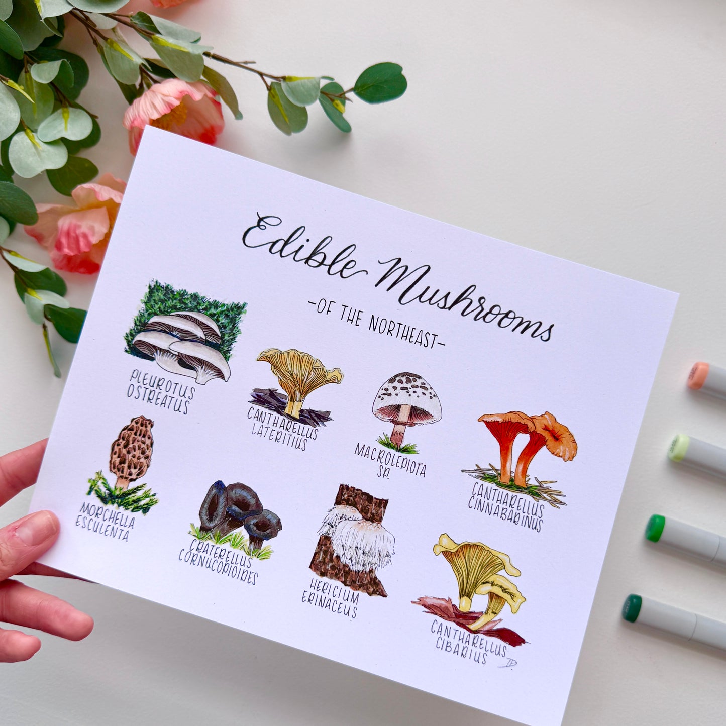 Edible Mushrooms of the Northeast | Recycled Cardstock Print