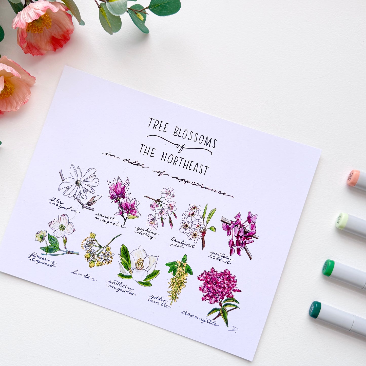 Tree Blossoms of the Northeast | Recycled Cardstock Print