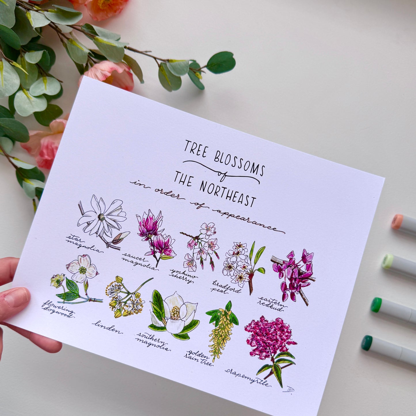 Tree Blossoms of the Northeast | Recycled Cardstock Print