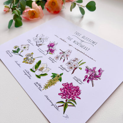Tree Blossoms of the Northeast | Recycled Cardstock Print