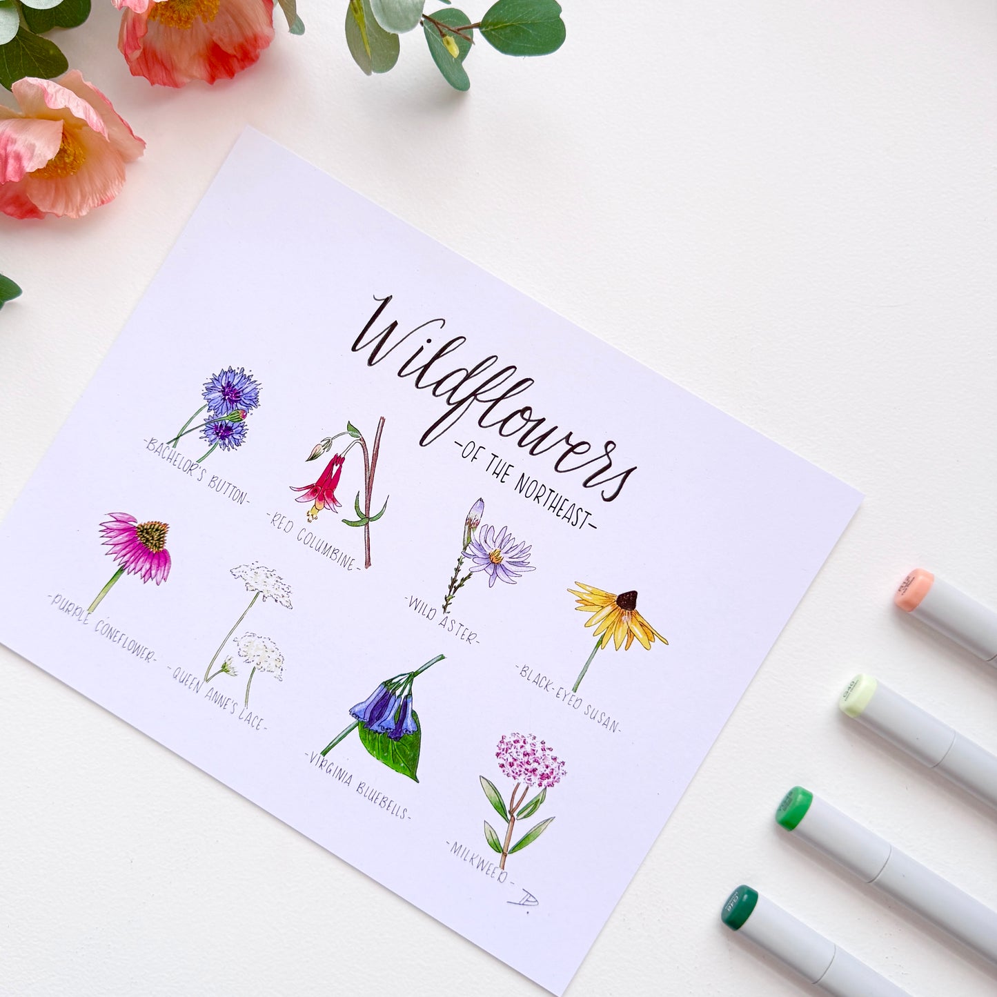 Wildflowers of the Northeast | Recycled Cardstock Print