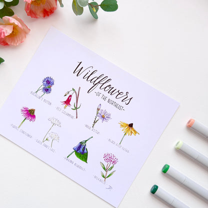 Wildflowers of the Northeast | Recycled Cardstock Print