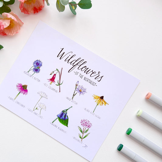 Wildflowers of the Northeast | Recycled Cardstock Print