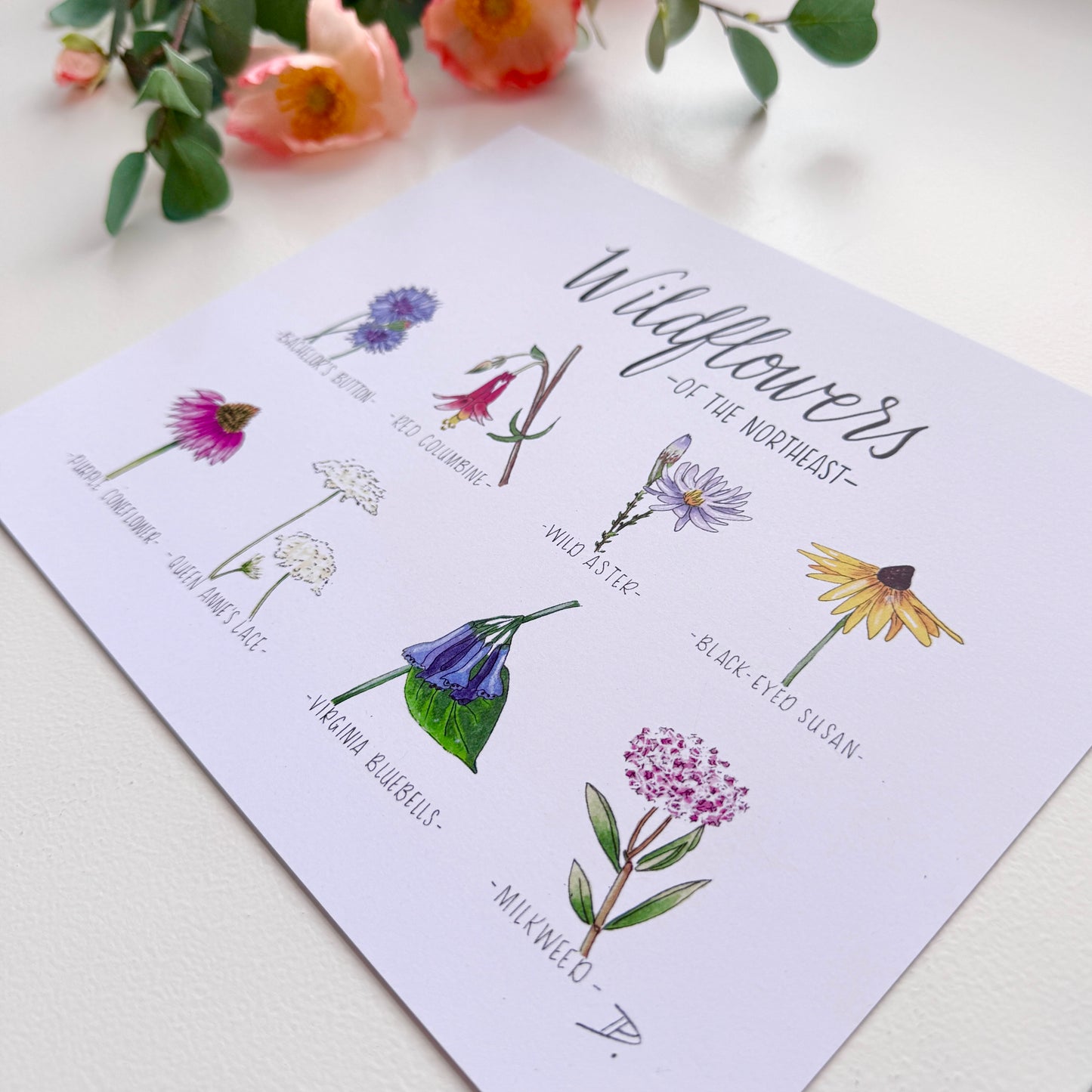 Wildflowers of the Northeast | Recycled Cardstock Print