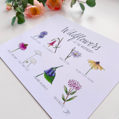 Wildflowers of the Northeast | Recycled Cardstock Print