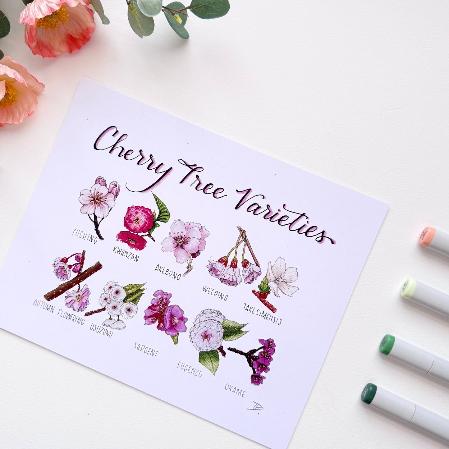 Cherry Blossom Varieties | Recycled Cardstock Print