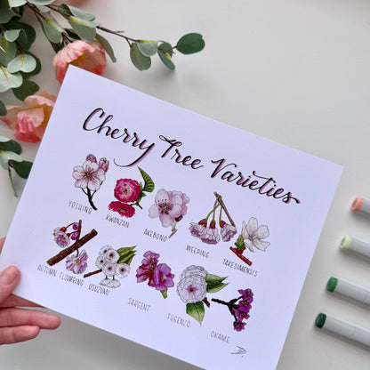 Cherry Blossom Varieties | Recycled Cardstock Print