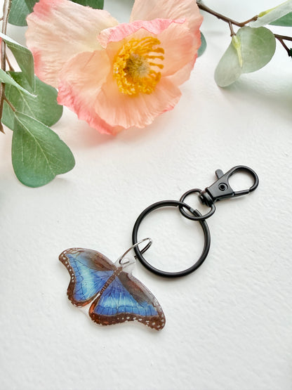 Hand-Illustrated Blue Morpho Butterfly | Handmade Acrylic + Resin Keychain/Bag Charm