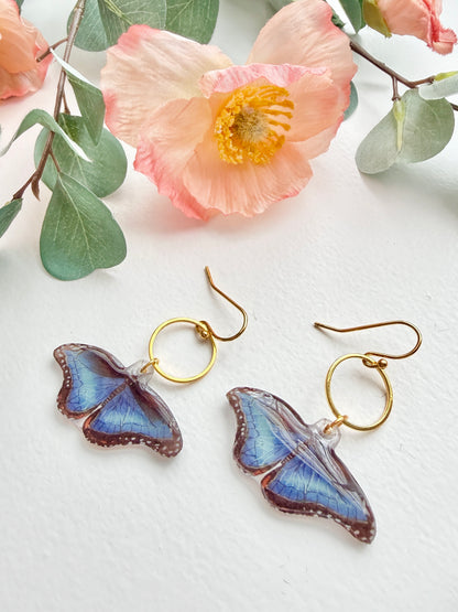 Hand-Illustrated Blue Morpho Butterfly | Handmade Acrylic + Resin Dangle Earrings