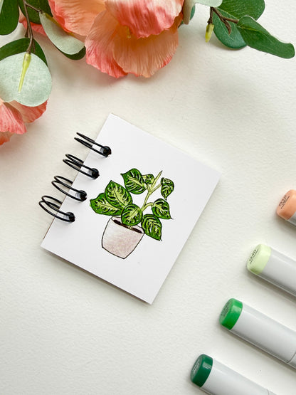 Hand-Illustrated + Handmade Mini Notebook/Sketchbook | Maranta Houseplant
