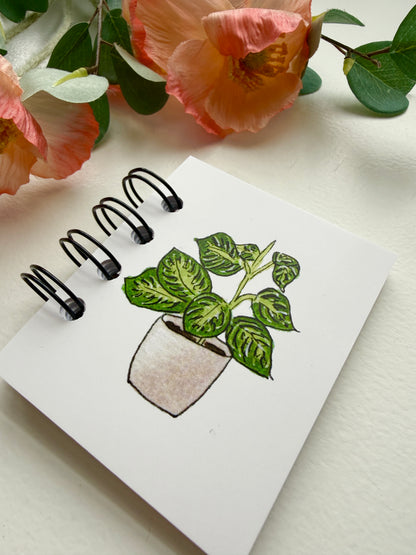 Hand-Illustrated + Handmade Mini Notebook/Sketchbook | Maranta Houseplant
